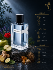 عطر ادکلن ایو سن لورن وای ادو پرفیوم(عطر گرمی) - تصویر 2