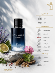 عطر ادکلن دیور ساواج(عطر گرمی) - تصویر 2