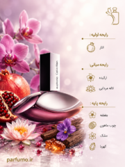 عطر ادکلن سی کی ایفوریا(عطر گرمی) - تصویر 2
