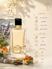 عطر ادکلن ایو سن لورن لیبره(عطر گرمی) - تصویر 2