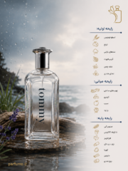 عطر ادکلن تامی مردانه(عطر گرمی) - تصویر 2