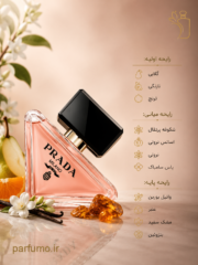 عطر ادکلن پرادا پارادوکس(عطر گرمی) - تصویر 2