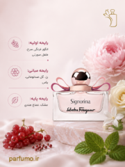 عطر ادکلن سالواتوره فراگامو سیگنورینا(عطر گرمی) - تصویر 2