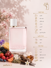 عطر ادکلن باربری هر(عطر گرمی) - تصویر 2