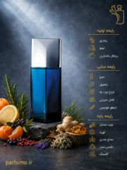 عطر ادکلن ایسی میاکه بلو(عطر گرمی) - تصویر 2
