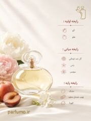 عطر ادکلن سالواتوره فراگامو اینکانتو(عطر گرمی) - تصویر 2